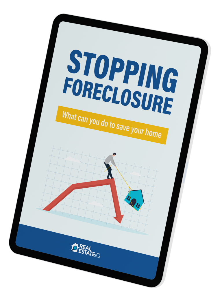 Stopping Foreclosure Free Ebook